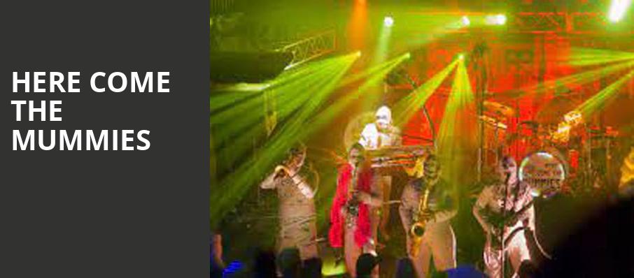 Here Come The Mummies, House of Blues, Dallas