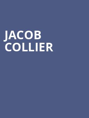 Jacob Collier, Pavilion at Toyota Music Factory, Dallas