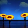 Momix