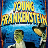 Young Frankenstein at the Winspear Opera House Dallas