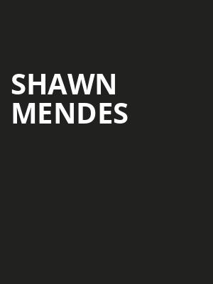 Shawn Mendes, American Airlines Center, Dallas