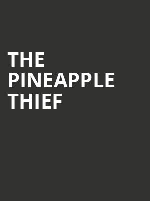 The Pineapple Thief Poster