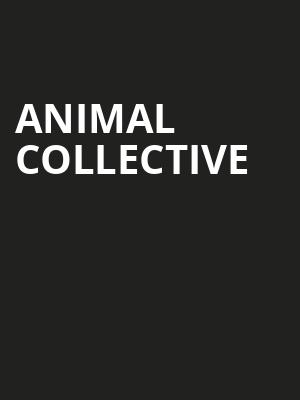 Animal Collective Poster