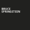 Bruce Springsteen, American Airlines Center, Dallas