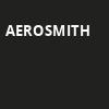 Aerosmith, American Airlines Center, Dallas