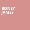 Boney James, Majestic Theater, Dallas