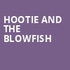 Hootie and the Blowfish, Dos Equis Pavilion, Dallas