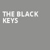 The Black Keys, Dos Equis Pavilion, Dallas