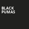 Black Pumas, The Factory in Deep Ellum, Dallas