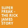 Super Freak The Rick James Story, Bruton Theater, Dallas