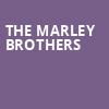 The Marley Brothers, Dos Equis Pavilion, Dallas
